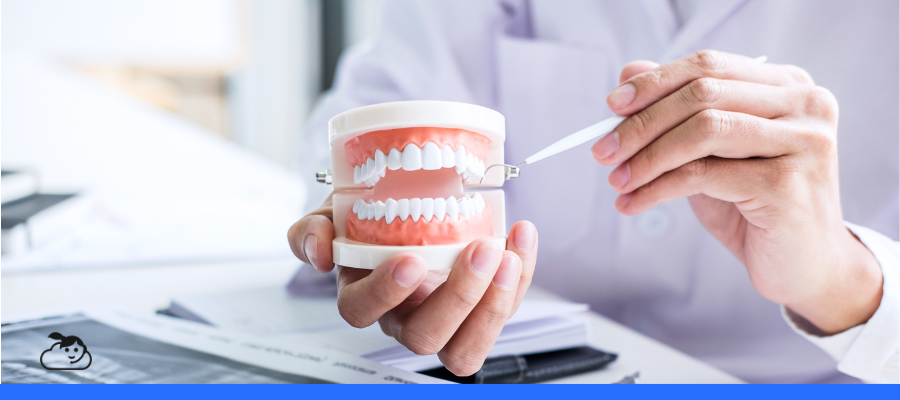 Profissional dentista segurando um modelo de dentadura nas mãos, representando a gestão de atendimento para clínicas odontológicas